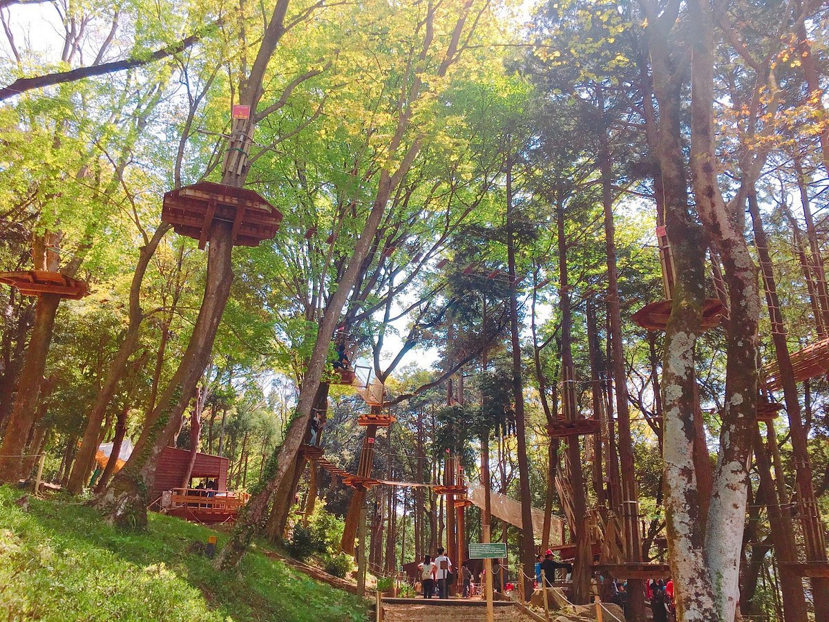 🌲 타카츠키 필드 애슬레틱 나리아이 코스 이미지 8